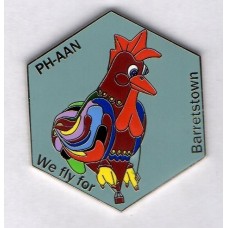 The Rooster We Fly for Barretstown Silver PH-AAN